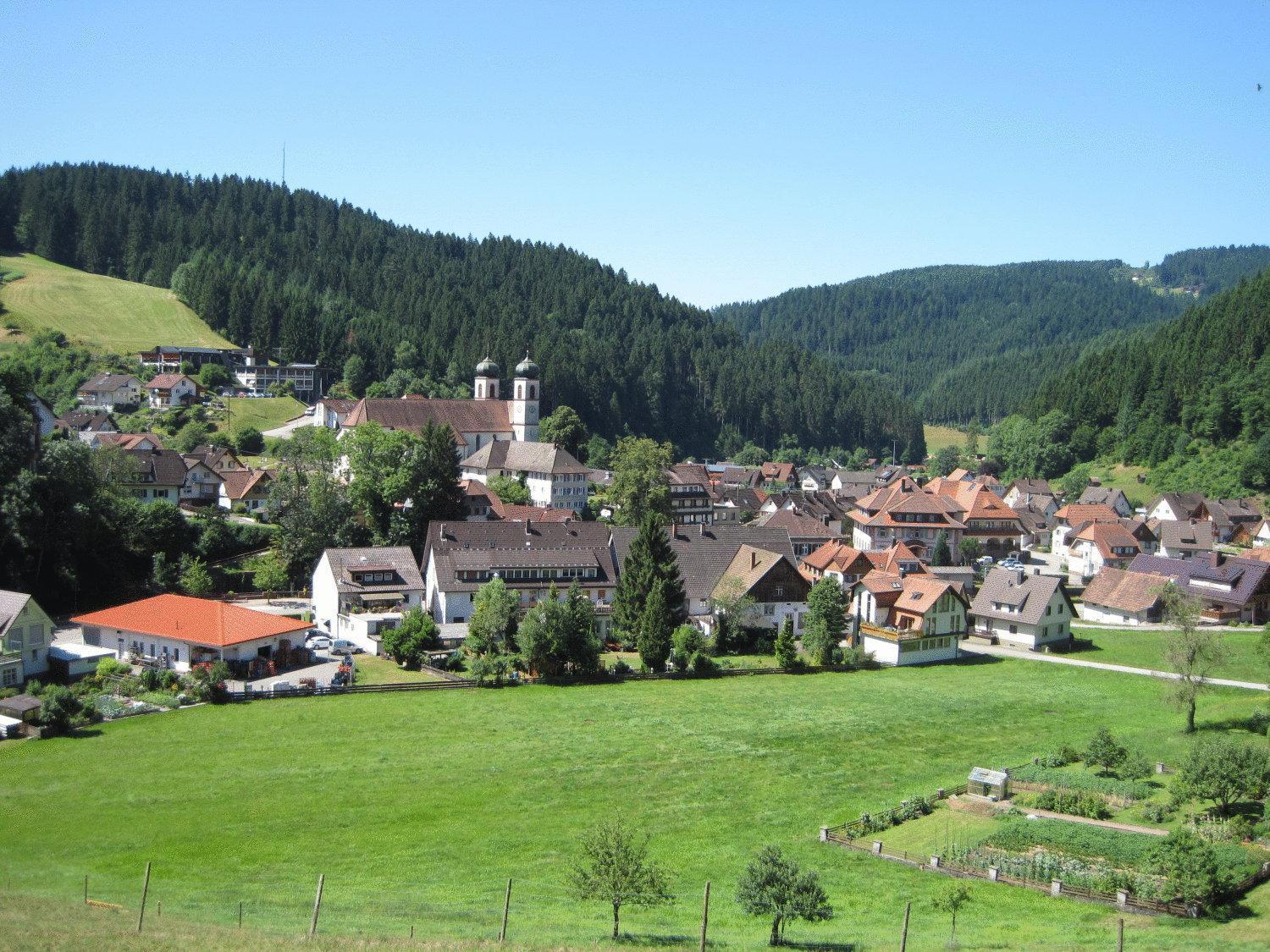 Hotel Restaurant Albans Sonne Bad Rippoldsau-Schapbach Buitenkant foto