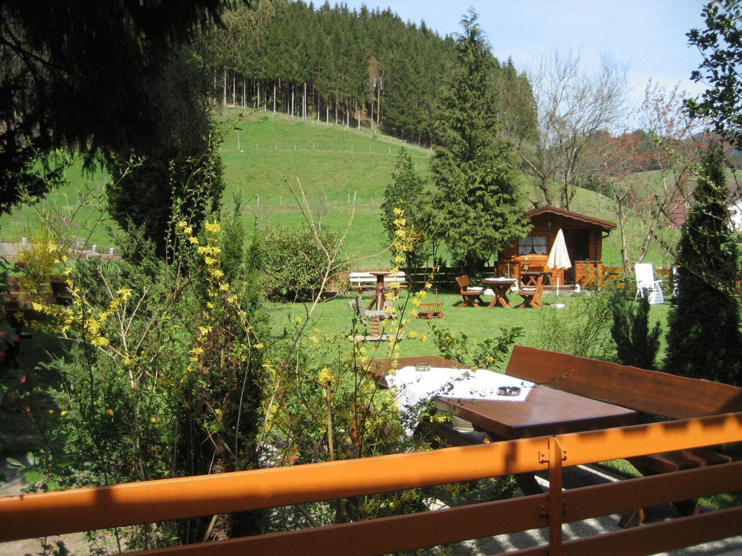 Hotel Restaurant Albans Sonne Bad Rippoldsau-Schapbach Buitenkant foto